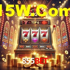 Blackjack Table 855Bet
