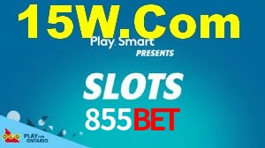 855Bet App Interface